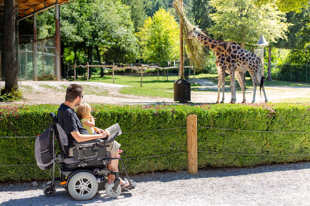 Man in Wheelchair enjoying Nature with Daughter Girl in Outside zoo park on a sunny day.