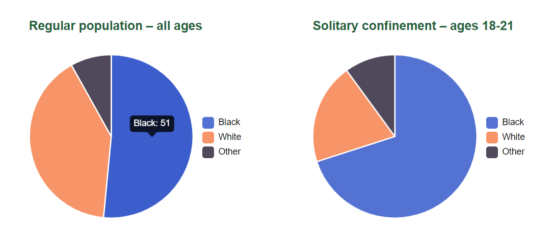 Regular population - all ages: Black, 51; White, 40; Other, 8; Solitary Confinement - ages 18-21: Black, 70; White 20, Other10 - represented by a pie chart