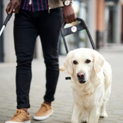 Blind black man walks with service dog