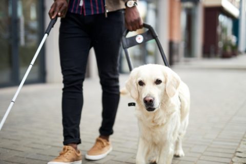 Blind black man walks with service dog