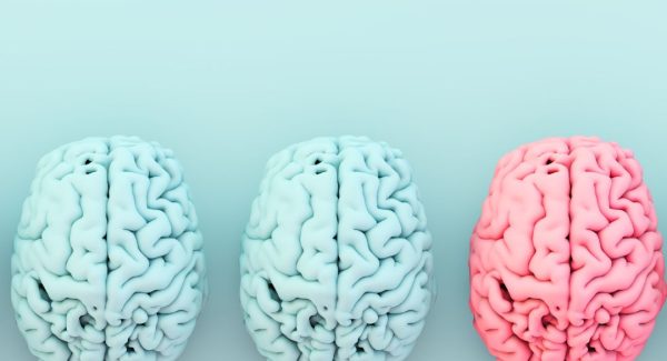 Graphic of Three Brains