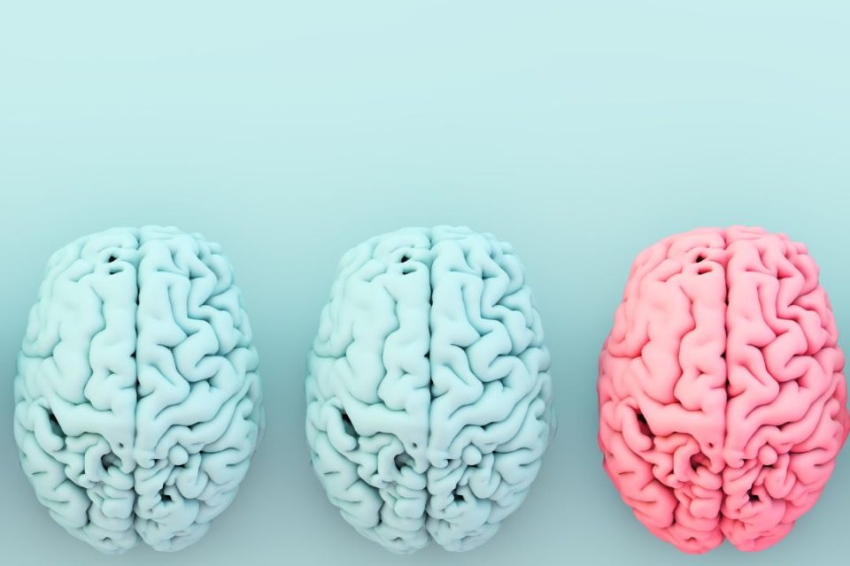 Graphic of Three Brains