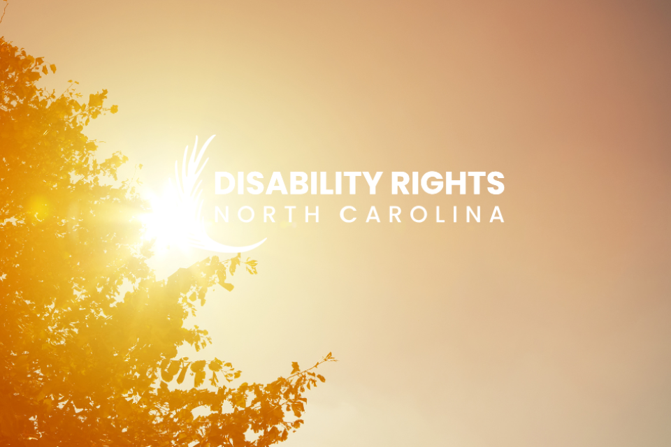 Sun seen through the branches and dusk with DRNC logo