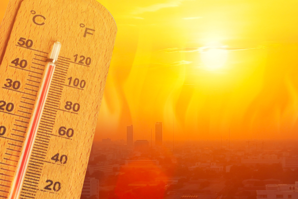 Thermometer showing hot temps. Brutal sunshine in background.